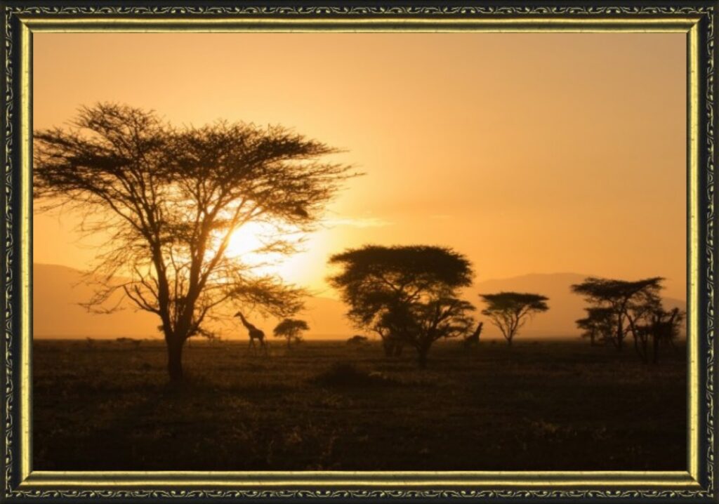 Dawn in Tanzania